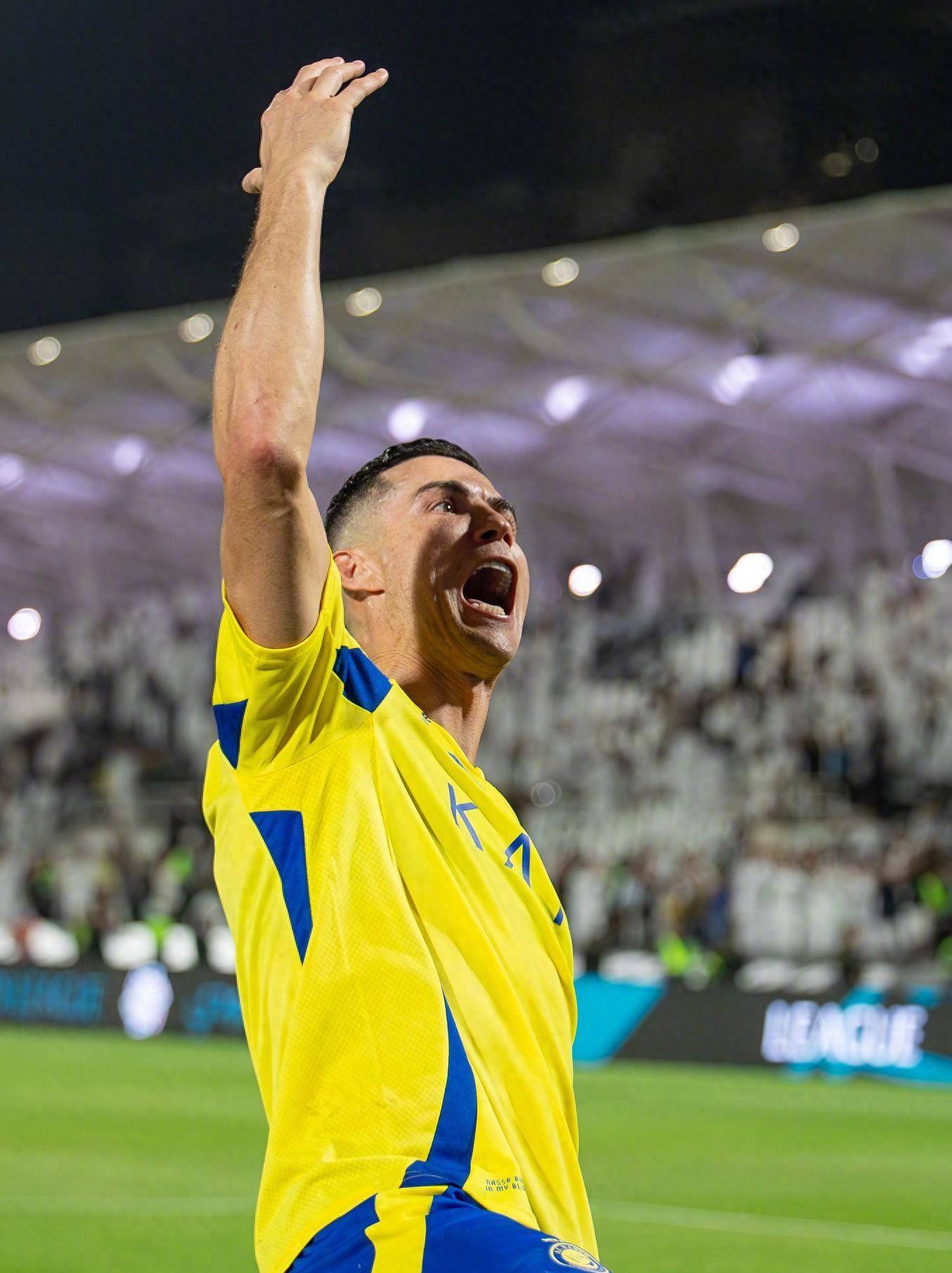 引入赞助商 引入赞助商